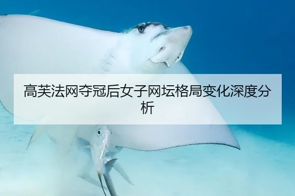 gao-fu-fa-wang-duo-guan-hou-nv-zi-wang-tan-ge-ju-bian-hua-shen-du-fen-xi-2-122.jpg